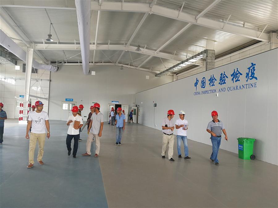 球王会·(中国)体育官方网站
