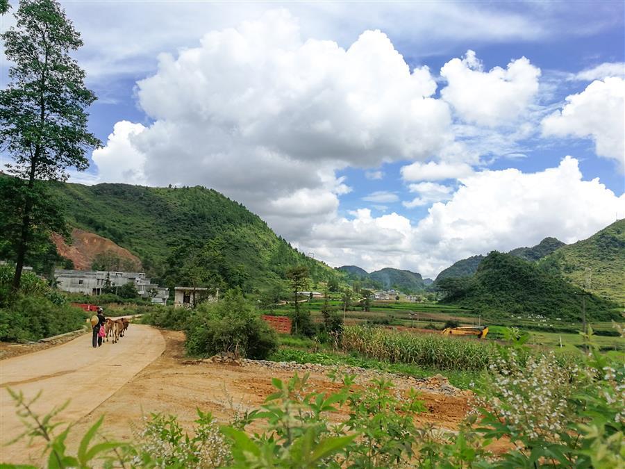 球王会·(中国)体育官方网站