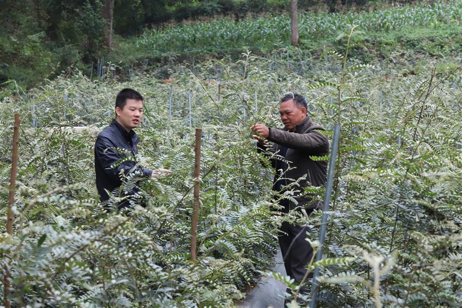 球王会·(中国)体育官方网站