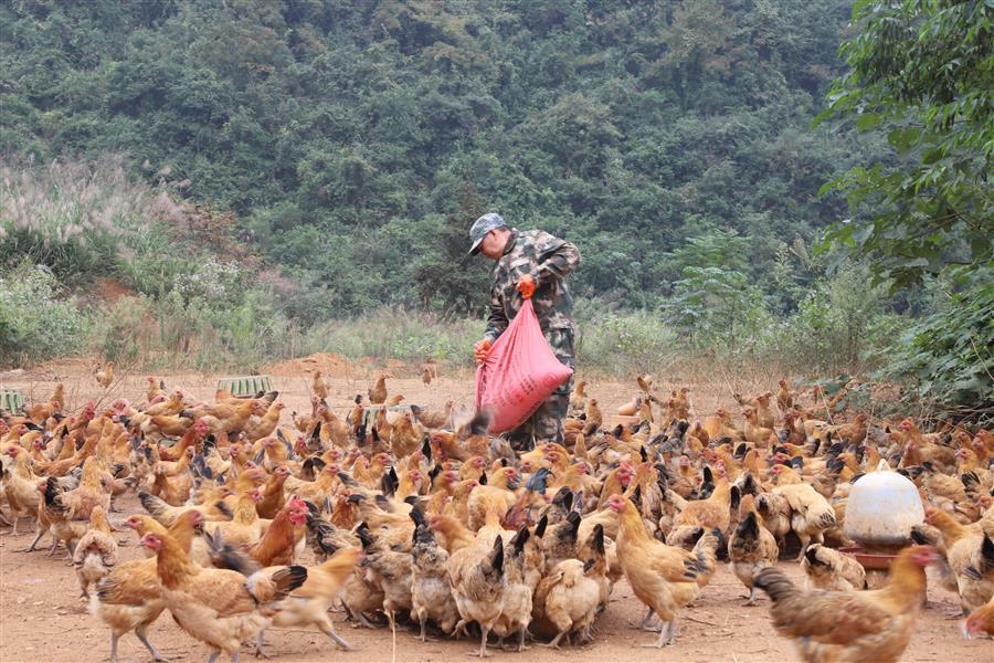 球王会·(中国)体育官方网站