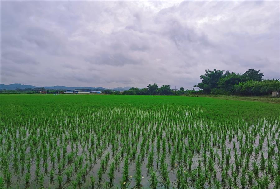 球王会·(中国)体育官方网站