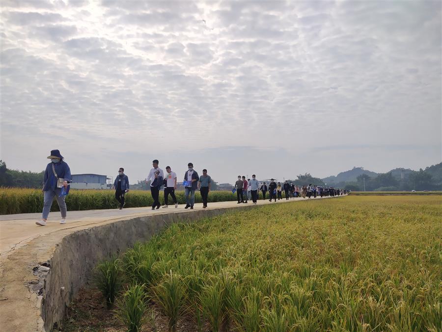 球王会·(中国)体育官方网站