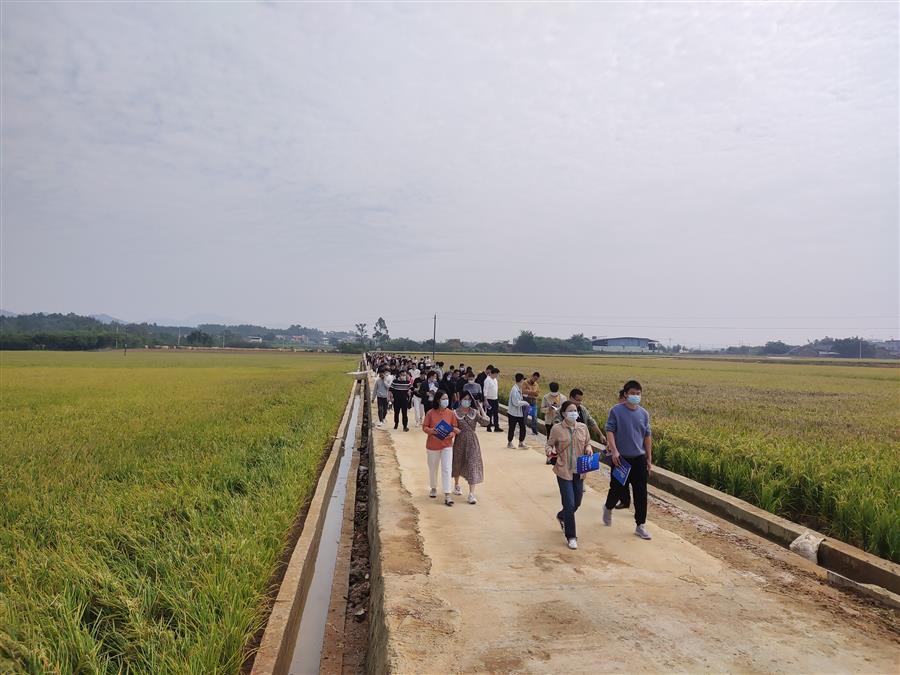 球王会·(中国)体育官方网站