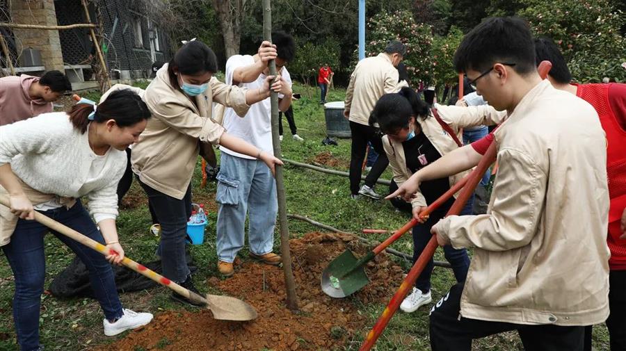 球王会·(中国)体育官方网站
