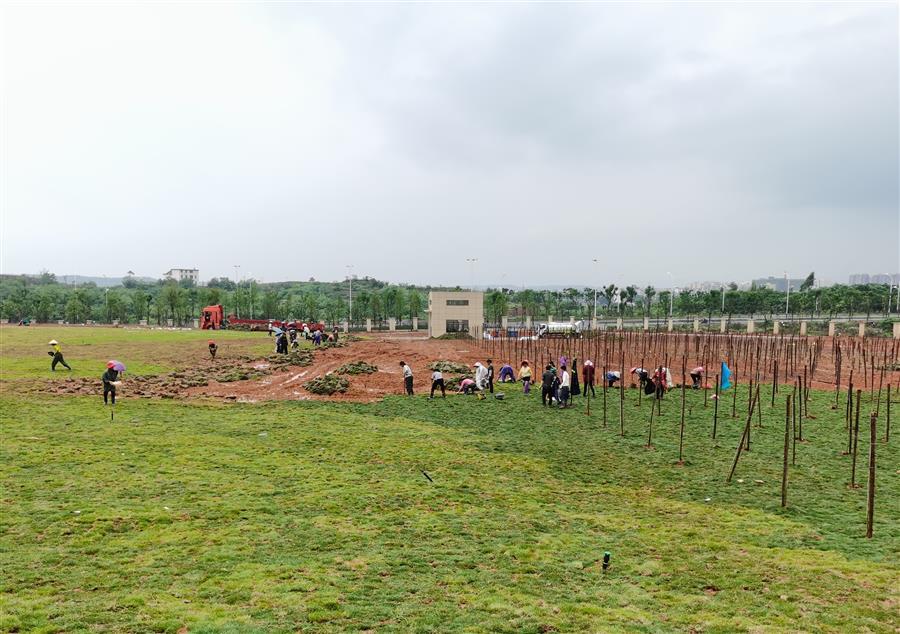球王会·(中国)体育官方网站