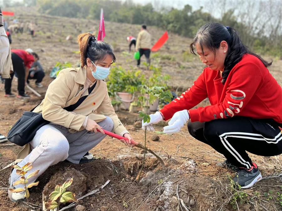 球王会·(中国)体育官方网站