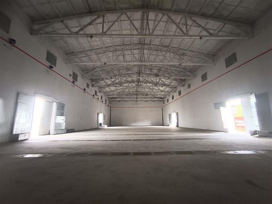 球王会·(中国)体育官方网站