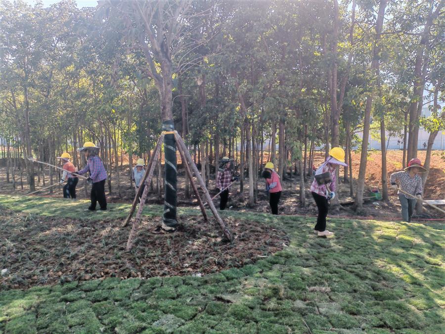 球王会·(中国)体育官方网站