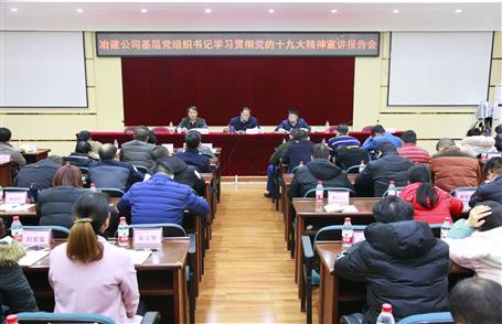公司下层党组织书记学习贯彻党的十九大精神宣讲报告会