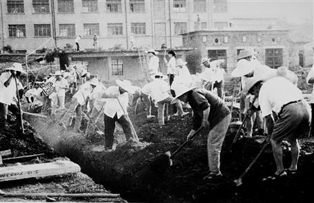 【媒体关注】从东北到广西“拓荒” 一家十几个“冶建人”