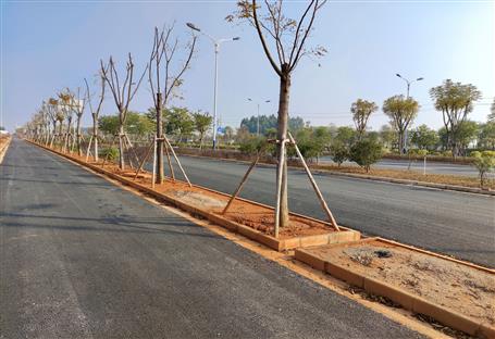 柳州市柳东新区龙岭大道（三期）项目通过完工验收