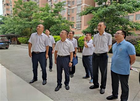 覃振华率队到桂金分公司调研指导事情