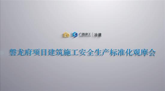 冶建公司磐龙府项目修建施工清静生产标准化观摩会