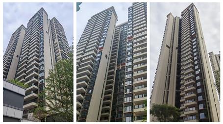 【锚定目的 奋力冲刺】冶建公司桂鸿分公司项目顺遂通过完工验收