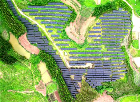 【锚定目的 奋力冲刺】冶建基础分公司宁明县光伏项目有序推进