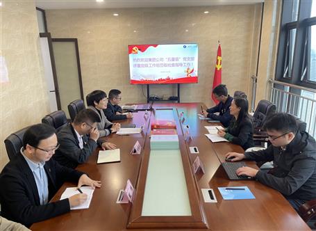 集团公司检查组到南宁中心开展五星级党支部评星定级事情