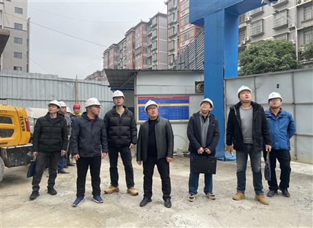 韦克雪到两家分公司承建项目开展2025年第一季度暨复工复产清静生产质量综合大检查