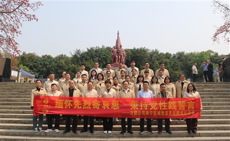 赓续红色血脉 凝聚奋进实力丨南宁区域党总支开展清明祭扫主题党日活动